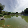 Koi Pond, Japanese Friendsip Garden