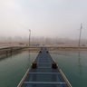 Spring Fog at the South Shore Marina