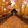 Covered Bridge at Seven Bridges
