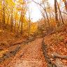 Autumn Bench at Seven Bridges