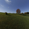 4620 North Etna Road - View from Pond #1
