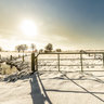 Winterpanorama Rees - Heeren-Herken 02
