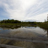 Marsh boardwalk at Ile Bizard, Quebec