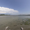 Rencontre de la rivière des Prairies et de la rivière des Mille Îles au Québec