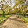 Conservatory Garden