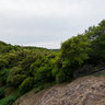 Table Mountain 