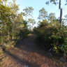 Trails behind Lake Clare