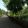 Botanical Garden