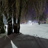 cold night