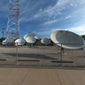 Dish Garden