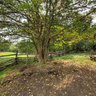 Living History Farms - 1850's Farm