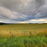Feldblick (Kuhschnappel)