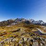 Sugarloaf Pass Track Near Peak 1290, Mt. Aspiring National park, New Zealand