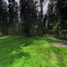 Grillplatz am Barfußpark Dornstetten