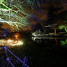 Syon Park - Enchanted Woodland