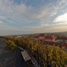 St. Claire vineyard at sunset