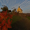 St. Claire vineyard at sunset