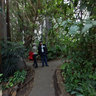Indonesian jungle in Prague ZOO