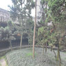 Cheng Du Zhuge Liang's temple