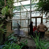 The green-house in the Kiev botanical garden
