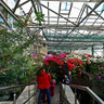 The greenhouse in the Kiev botanical garden