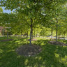 UMBC Library Exterior