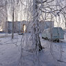Between Birches — Между березок