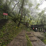 Foggy mountain path
