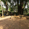 Sacred Monkey Forest Ubud Sanctuary