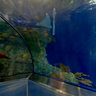 Taipei Sea World