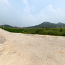 Longzhu Wan