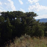 Converse County, Y-Knot Ranch