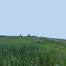 Foravila de Campos