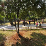 Under the banyan at Nine-hill Park of Wenzhou China