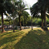 The lawn of Nine-hill Park Wenzhou