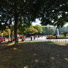 Under the banyan at Nine-hill Park of Wenzhou China near Golden Children's Studio
