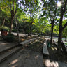 Pigeons at Nine-hill Park of Wenzhou China