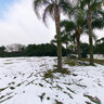 the snow in the lawn at Jiangxin Island Wenzhou China