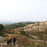 The vertebral column of dragon大罗山龙脊