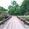 温州中山公园 登云桥 Zhongshan Prak Dengyun Bridge, Wenzhou