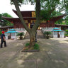 宁波达蓬山佛迹寺 Foji Temple in Dapeng Hill, Ningbo